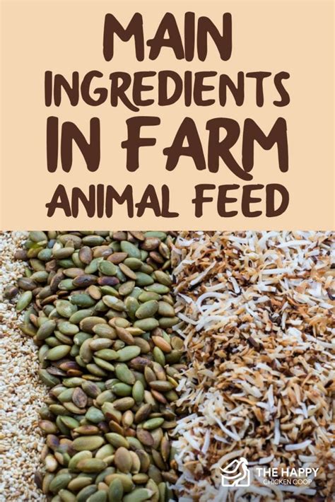 10 Main Ingredients in Farm Animal Feed