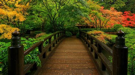 Download free Zen Garden Forest Bridge Wallpaper - MrWallpaper.com