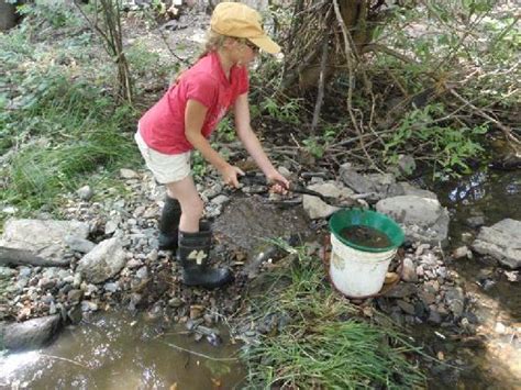 California Gold Panning (Jamestown) - All You Need to Know BEFORE You Go