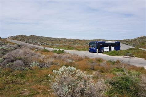 Rottnest Island Bus Tour - plan your next family holiday with our guide