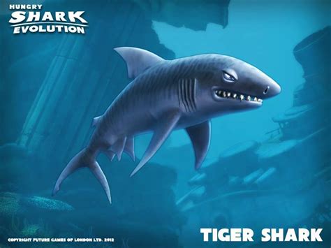Tiger Shark (HSE) | Hungry Shark Wiki | Fandom