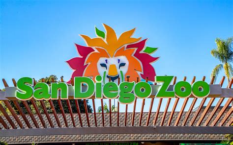 San Diego Zoo Tickets | Book Your Wildlife Adventure Now!