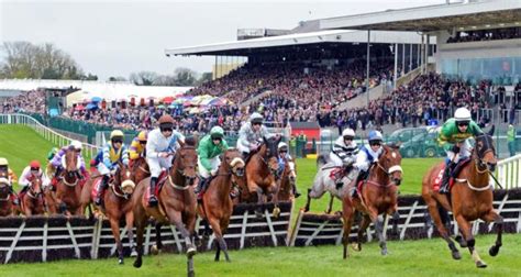 BIGGEST Irish horse racing events NOT TO BE MISSED