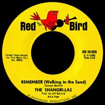 Remember (Walking in the Sand) | Under Appreciated Rock by Martin Winfree