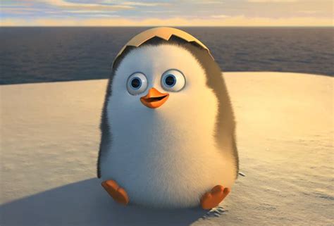 private penguin baby - Google Search | Penguins of madagascar ...