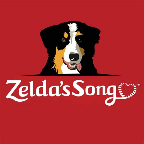 Zelda's Song | Fairfield CT