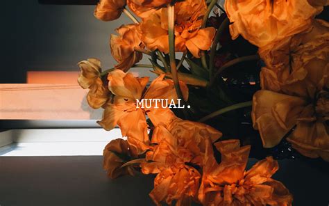 mutual - aesthetic macbook wallpaper ☆ | Macbook wallpaper, Aesthetic desktop wallpaper, Wallpaper