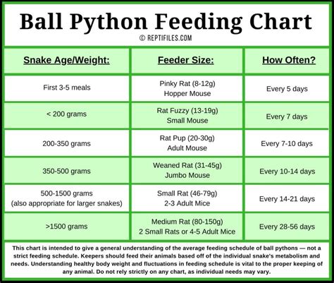 Ball Python Feeding Tips | ReptiFiles' Ball Python Care Guide