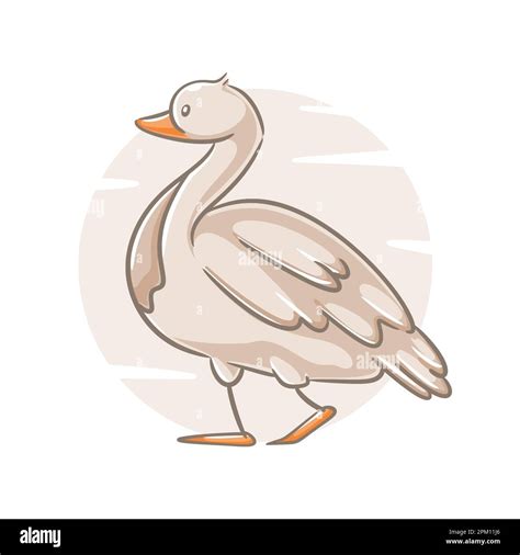 Cute baby swan outline drawing Stock Vector Image & Art - Alamy