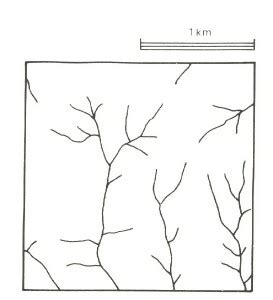 Beech Forest Land System | VRO | Agriculture Victoria