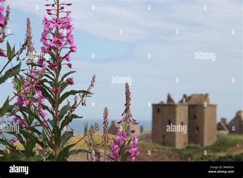 Dunnottar Castle, Scotland Stock Photo - Alamy