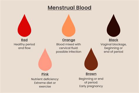 What Does The Color Of Period Blood Mean - vrogue.co
