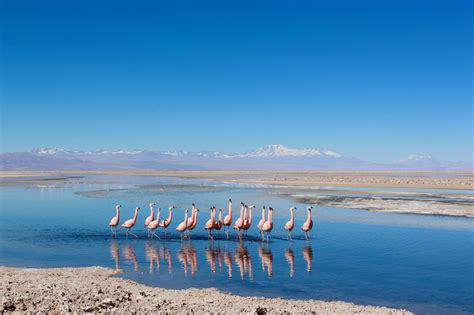 San Pedro de Atacama - 3 Day Itinerary - a world of destinations