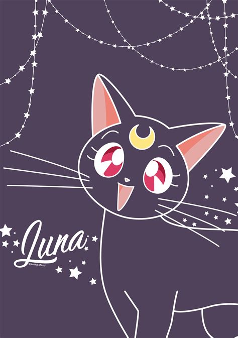 Sailor Moon With Luna Wallpapers - Wallpaper Cave