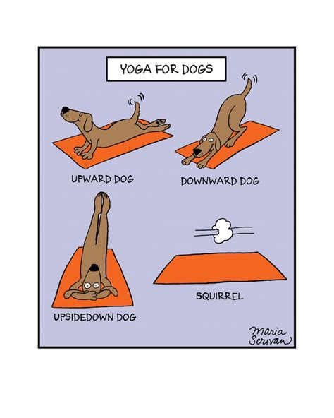 Dogs are great at yoga until a squirrels shows up. Then all bets are off. Museum-quality print ...