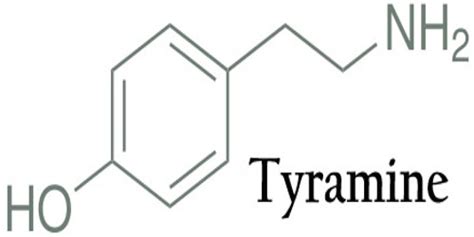 Tyramine - Assignment Point