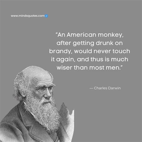 30 BEST Charles Darwin Quotes From Evolution On Life