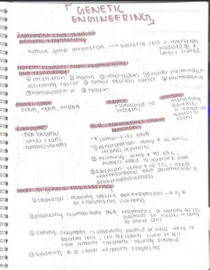 microbiology diagrams - BIOL 204 - Studocu