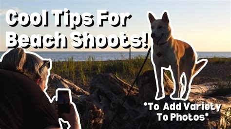 DIY Beach Photoshoot with your dog! Tips from professional dog photographer - YouTube