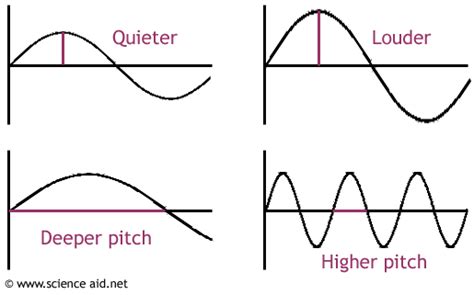 Digital Pathways Audio A: Frequency, Amplitude and EQ | Teaching science, Apologia physical ...