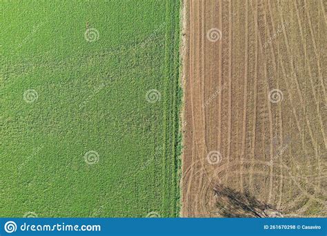 Aerial View of Agriculture Field, Two Colors, Brown and Green Stock ...
