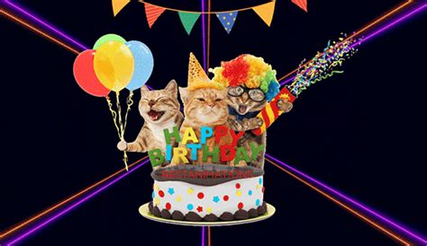 Funny Happy Birthday Cat