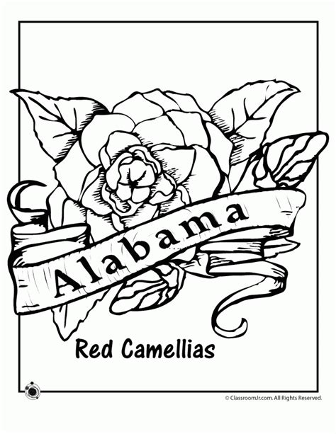 Alabama State Bird Coloring Page - Coloring Home