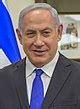 Yonatan Netanyahu - Wikipedia
