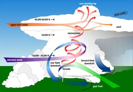 Thunderstorm | Definition, Description & Formation - Lesson | Study.com