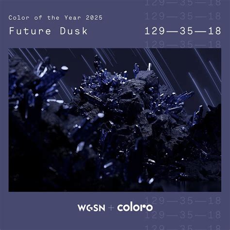 iDesign | Theo Coloro và WGSN - Future Dusk sẽ là màu của năm 2025