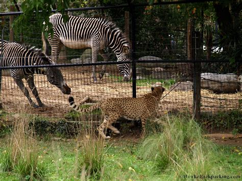 Smithsonian National Zoo - HawkeBackpacking.com