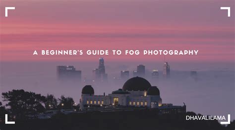 A Beginner's Guide to Fog Photography