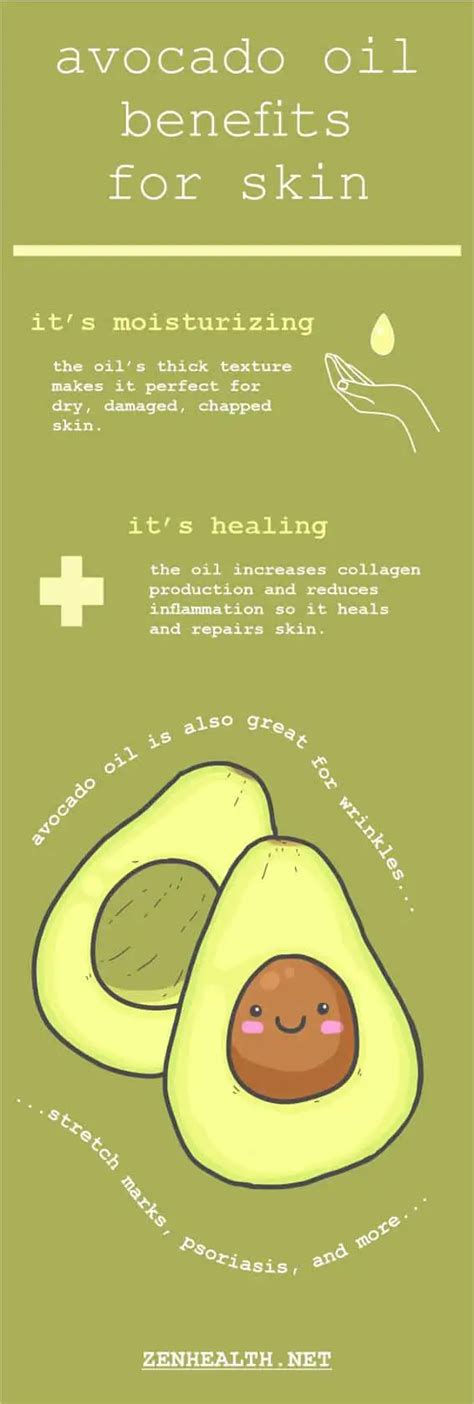 5 Incredible Benefits of Avocado Oil for Skin - Zenhealth