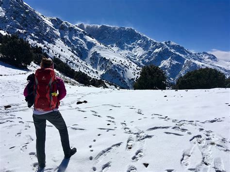 Trekking the Atlas Mountains: A Guide to Hiking Mount Toubkal - Expedition Wildlife