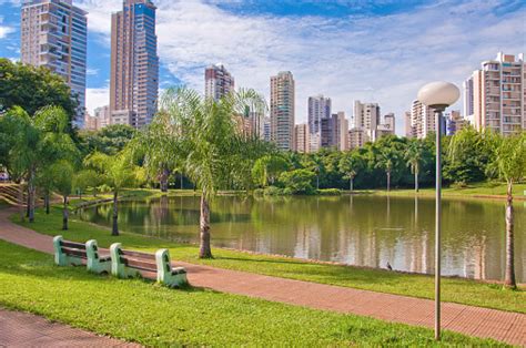 Park In Goiania Brazil Stock Photo - Download Image Now - iStock