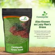 Centipede Grass Seed - Warm Climate Grass Seed