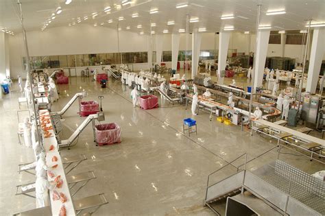 What happens at a seafood processing plant?