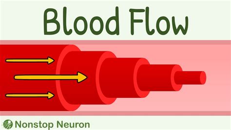 Blood Flow: Laminar vs Turbulent