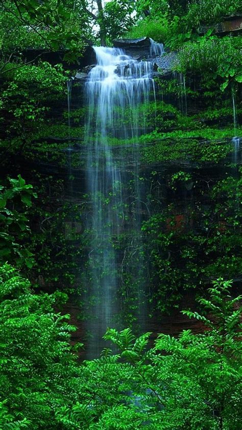 Nature Forest Waterfall iPhone 6 Wallpaper Download | iPhone Wallpapers, iPad wallpapers One-s ...