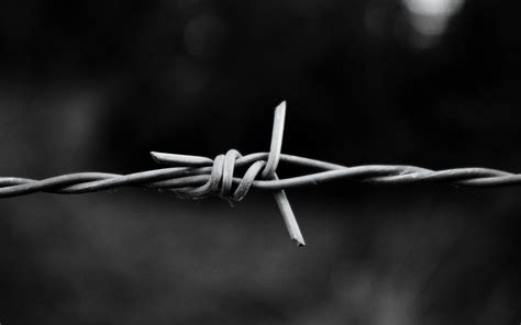 Online crop | grayscale photo of barb wire HD wallpaper | Wallpaper Flare
