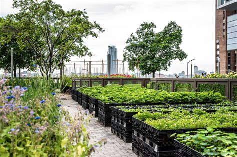 Urban Farming - How to Farm Inside the City - Business Magazine 24