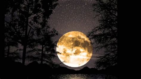 🔥 [73+] Harvest Moon Wallpapers | WallpaperSafari