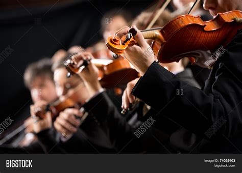 Orchestra First Violin Image & Photo (Free Trial) | Bigstock