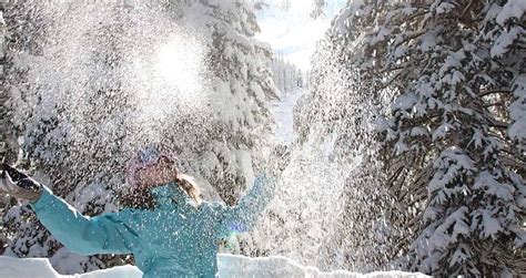 Snowbird Ski Resort | Utah | Ski Packages & Deals - Scout