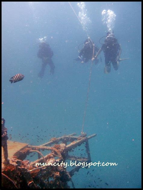 Lalalaland...: Diving in Perhentian Island