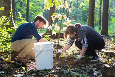 News: Tree Canada Plants 83 Million Trees and Counting