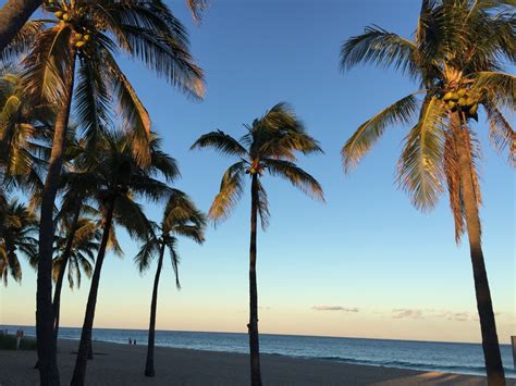 Free Images : beach, sea, coast, tree, ocean, sunset, vacation, body of water, caribbean ...