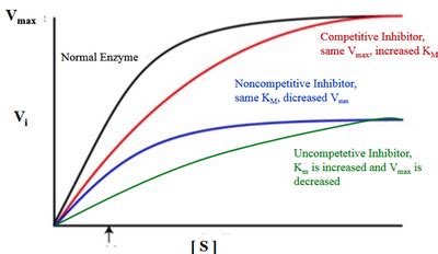 Uncompetitive Inhibitors : r/Mcat