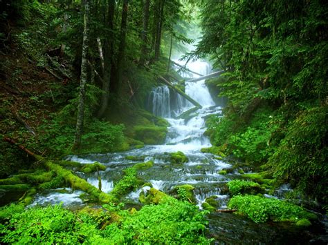 landscape, Nature, Tree, Forest, Woods, River, Waterfall Wallpapers HD / Desktop and Mobile ...