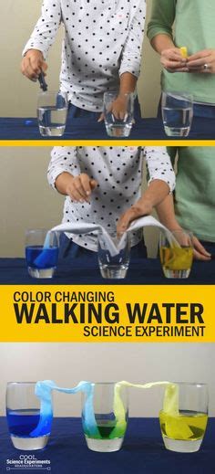 Color Changing Walking Water Science Experiment for kids Cool Science Experiments, Color Change